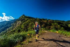 BIB: 008
                            <button type="button" onclick="openModal(19032327)" class="btn btn-primary btn-sm float-right btn-popup" data-toggle="modal" data-target=".modal-high-quality">
                        <i class="fas fa-shopping-cart"></i> Add to Cart
                    </button>
                                            <button type="button" onclick="isThisMe(19032327, true)" class="btn btn-success btn-sm float-right btn-popup btn-isme hidden" data-toggle="tooltip" data-placement="bottom" title="นี่คือรูปของคุณใช่ไหม คลิกที่นี่เพื่อเอาเข้าอัลบั้ม">
                        <i class="fas fa-plus"></i> Add to album
                    </button>
                    <button type="button" onclick="isThisMe(19032327, false)" class="btn btn-warning btn-sm float-right btn-popup btn-isnotme hidden">
                        <i class="fas fa-ban"></i> Remove from album
                    </button>